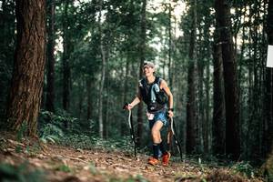 BIB: 
                            <button type="button" onclick="openModal(25261856)" class="btn btn-primary btn-sm float-right btn-popup" data-toggle="modal" data-target=".modal-high-quality">
                        <i class="fas fa-shopping-cart"></i> Add to Cart
                    </button>
                                            <button type="button" onclick="isThisMe(25261856, true)" class="btn btn-success btn-sm float-right btn-popup btn-isme hidden" data-toggle="tooltip" data-placement="bottom" title="นี่คือรูปของคุณใช่ไหม คลิกที่นี่เพื่อเอาเข้าอัลบั้ม">
                        <i class="fas fa-plus"></i> Add to album
                    </button>
                    <button type="button" onclick="isThisMe(25261856, false)" class="btn btn-warning btn-sm float-right btn-popup btn-isnotme hidden">
                        <i class="fas fa-ban"></i> Remove from album
                    </button>